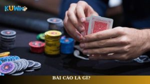 Bài cào
