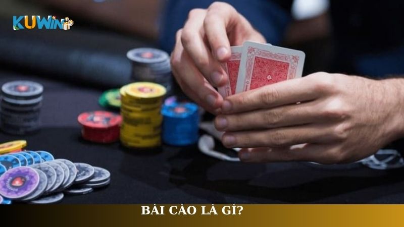 Bài cào